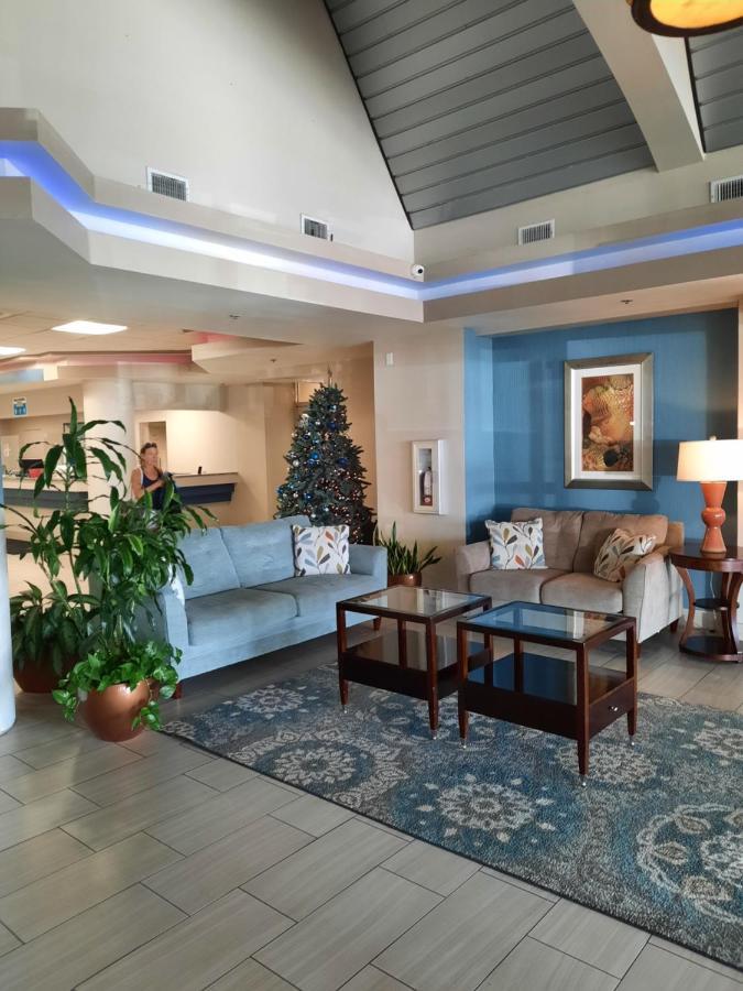 A Happy Seashell Story Aparthotel Daytona Beach Esterno foto